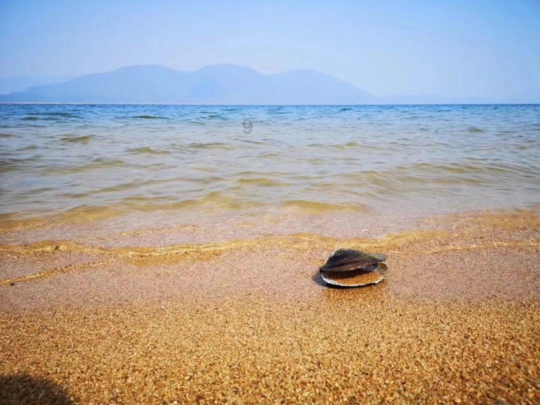 海南：整改动真章 及时应诉求